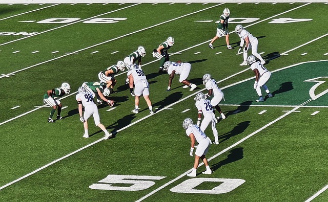 奖学金项目 奖学金项目