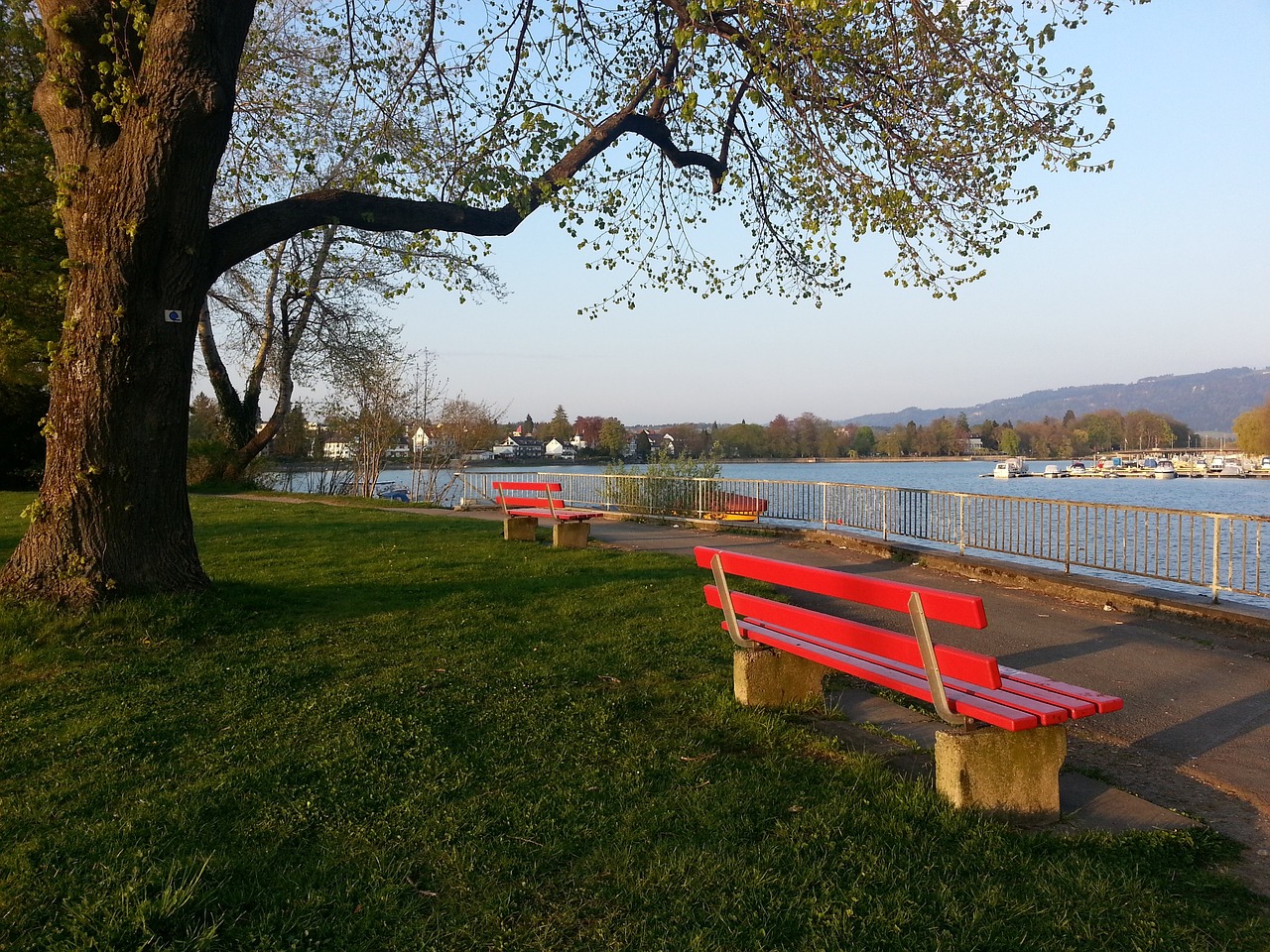 意想不到的 意想不到的