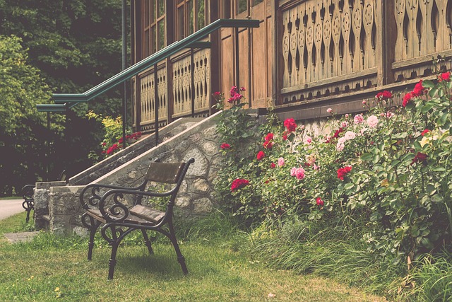 战胜青岛队 战胜青岛队