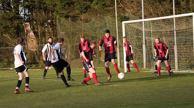 尚面临的这 尚面临的这